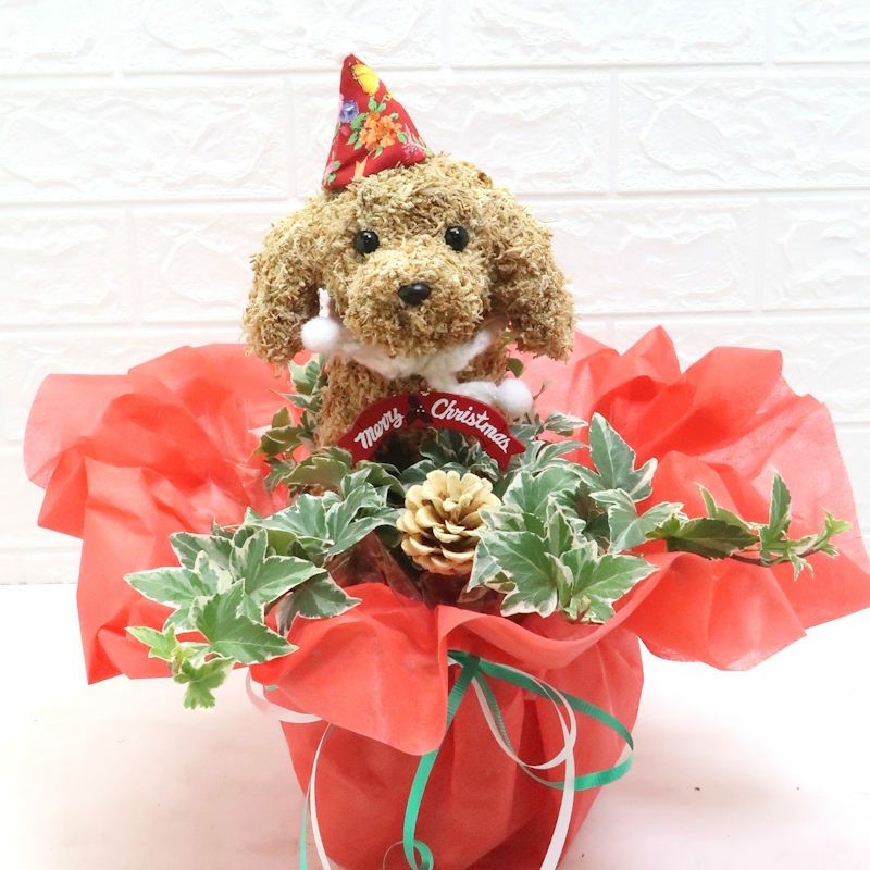 クリスマス犬
