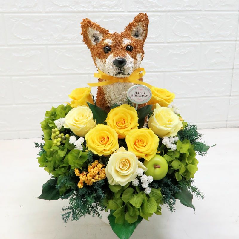 柴犬 誕生日プレゼント