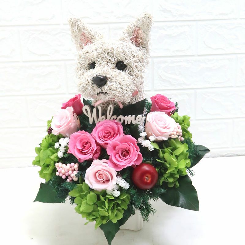 トリミングサロン開店祝い　犬